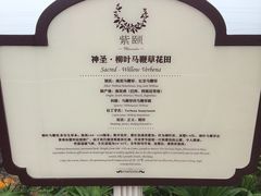 -紫颐香薰山谷景区