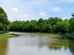 -上海海湾国家森林公园