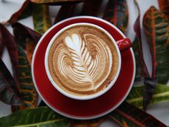 拿铁-隹木咖啡馆(宝龙广场店)