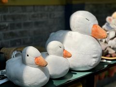 -三忘湖 SWANSEEN(柳荫公园店)