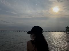 -宝安西湾红树林湿地公园