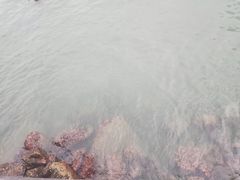 -南丫岛