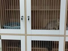 -爱洗澡的猫(天河路店)