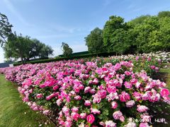 -上海辰山植物园