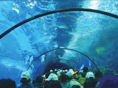 -福州罗源湾海洋世界旅游区