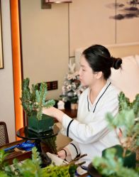 -圣贝拉母婴护理中心(深圳莱佛士店)