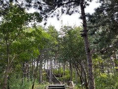 -京东石林峡风景区