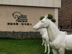 -国际非物质文化遗产博览园