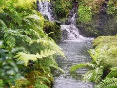 -Chom Cafe and Restaurant