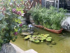 -蘇河湾·新鲁菜·泰山宴(泰山店)
