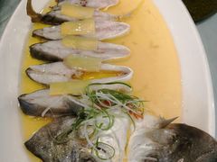 -高老庄新家宴(北斗星广场店)