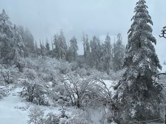 -瓦屋山景区