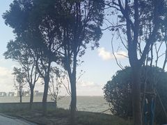 -上海滴水湖皇冠假日酒店