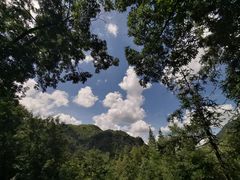 -藏龙百瀑风景区