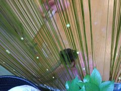 -雅米拉艺术中心(少儿舞蹈培训)