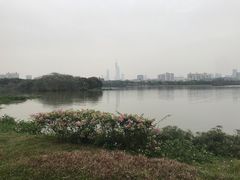 -海珠湖公园