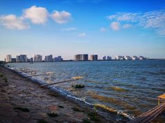 -碧海金沙