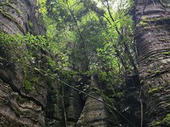 -梭布垭石林景区