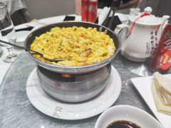 -丁老爷子苏香圆