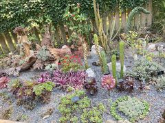 -中国科学院西双版纳热带植物园