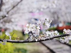 -新天地活力PARK