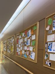 -上海首尔丽格医疗美容医院