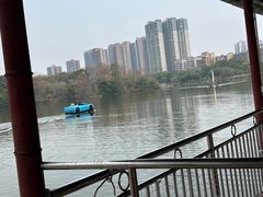 -飞来湖湿地公园