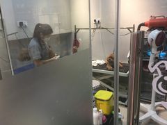 -PETKIT 小佩宠物·低压洗护·美容·寄养(安远店)