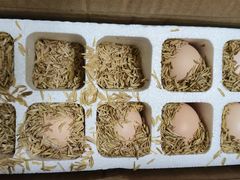-铁路文化公园