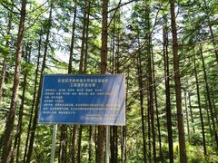 -秦岭风景区