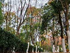 -天鹅湖体育公园