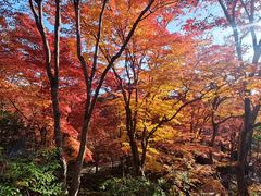 -常寂光寺