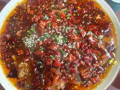 -天天鱼港·海鲜·鲅鱼水饺·招牌烤鸭(黄骅店)