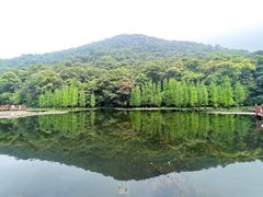 -广州市石门国家森林公园