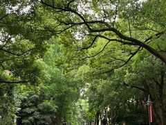 -浙江大学(玉泉校区)