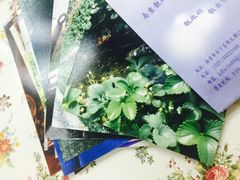 -柯达靓之彩影像网络(明瓦廊店)