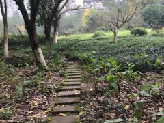 -重庆彩云湖湿地公园
