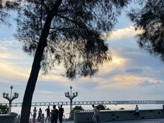 -宝安西湾红树林湿地公园