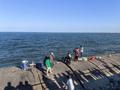 -东疆建设开发纪念公园