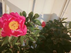 -丽都整形美容医院·全国连锁旗舰店