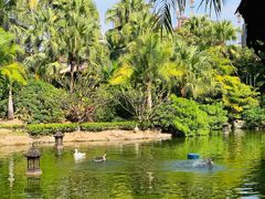 -厦门日月谷温泉渡假村