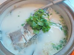 -天乐农家鱼头王(天目湖店)