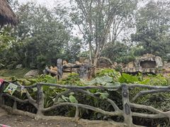 -海南热带野生动植物园