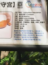 -酷嗒动物文化乐园(cutezoo西溪乐天城店)