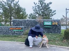 -爪吧宠物乐园·宠物泳池(温榆河示范区店)
