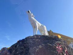 -洮儿河国家湿地公园