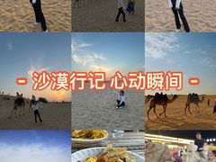-迪拜沙漠冲沙