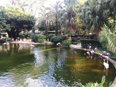 -九龙公园