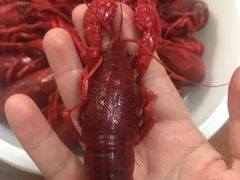 -龙虾风暴(松江店)