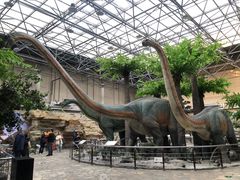 -国家自然博物馆